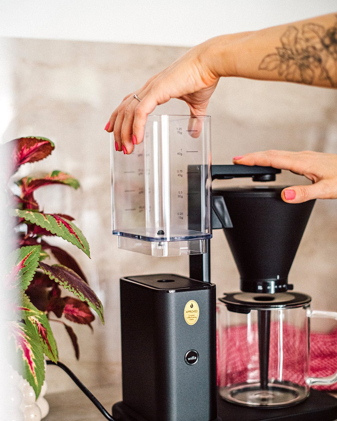 Zense Alux, Kaffebryggare