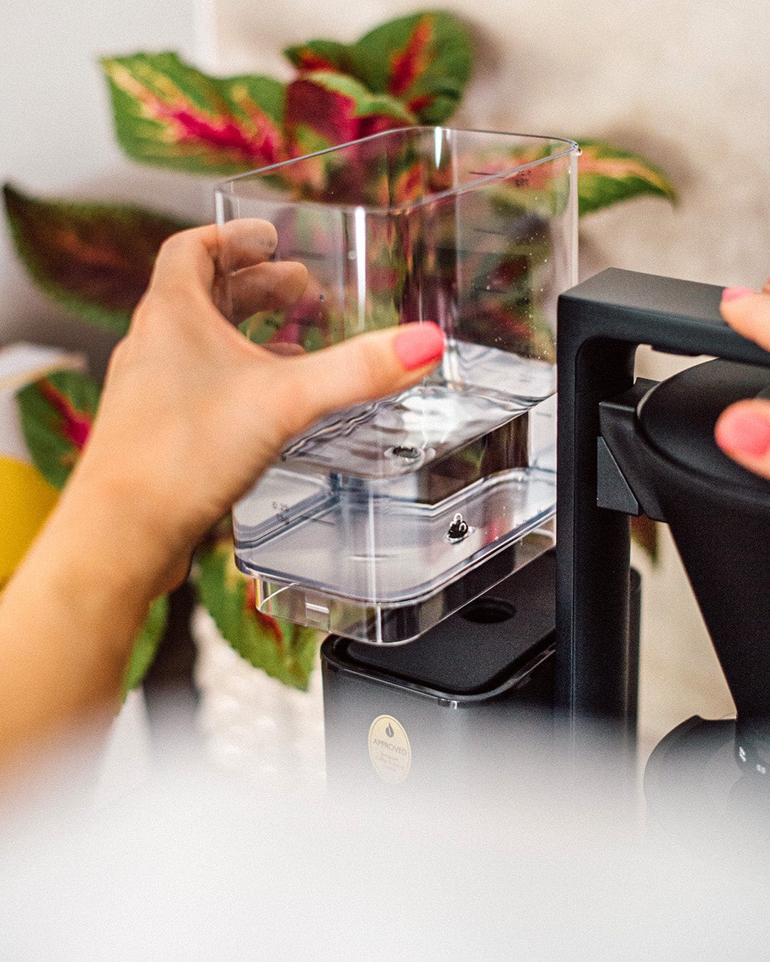 Zense Alux, Kaffebryggare