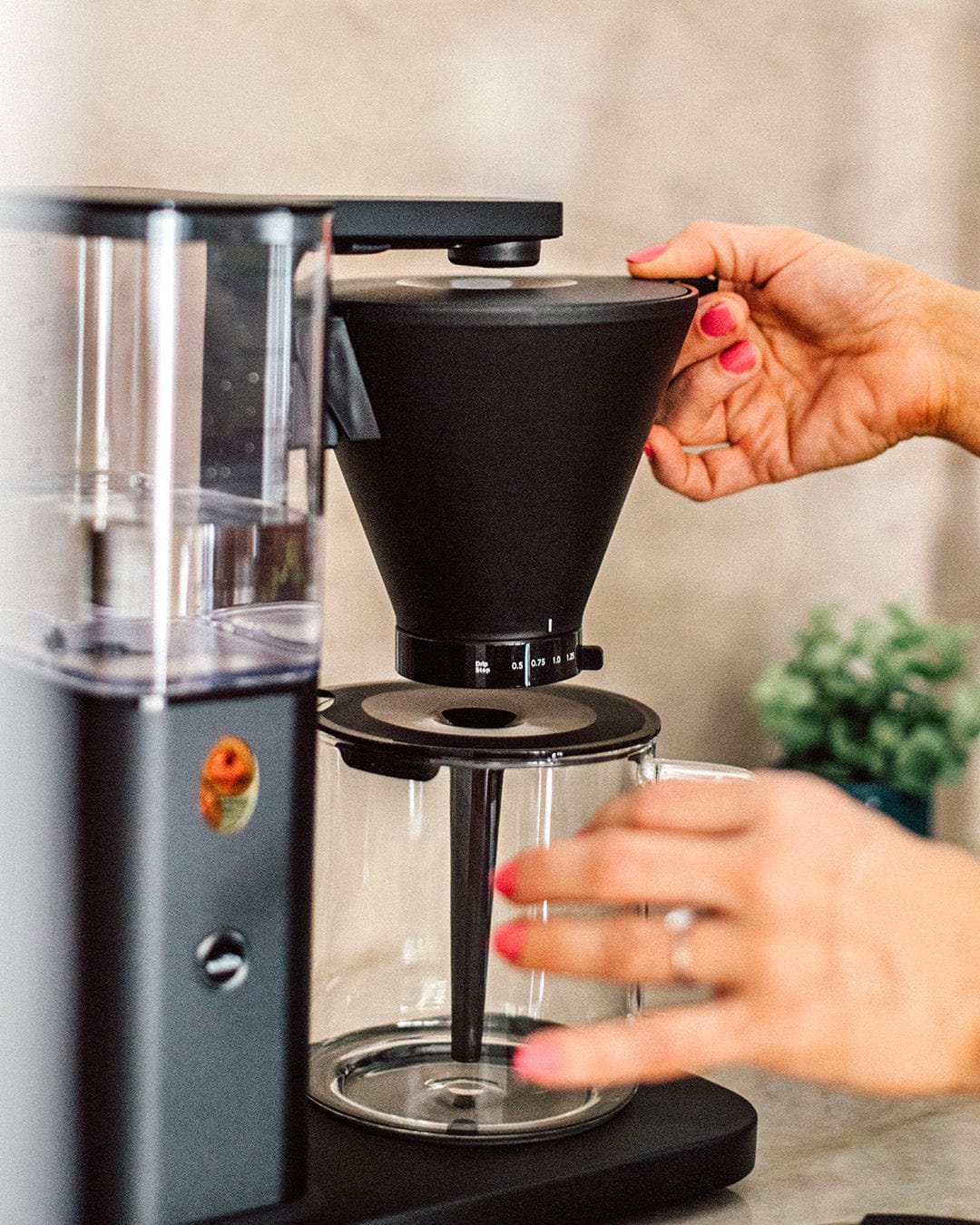 Zense Alux, Kaffebryggare