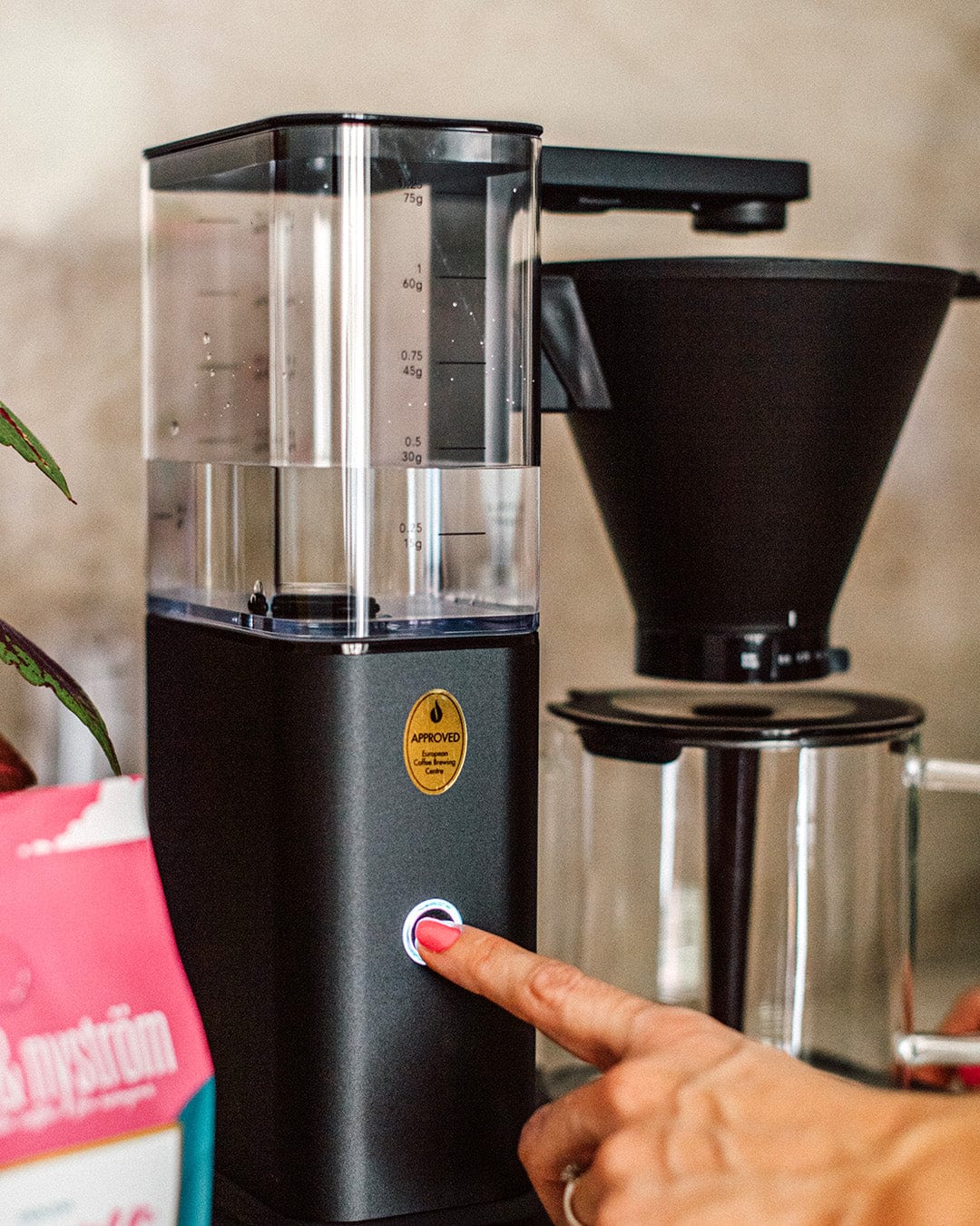 Zense Alux, Kaffebryggare