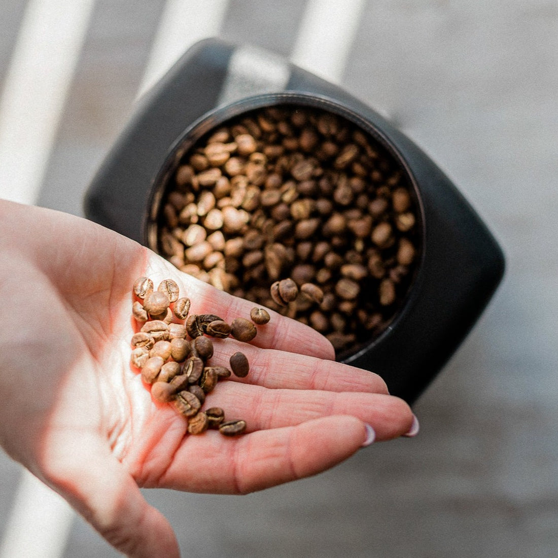 Svart Aroma, Kaffekvarn