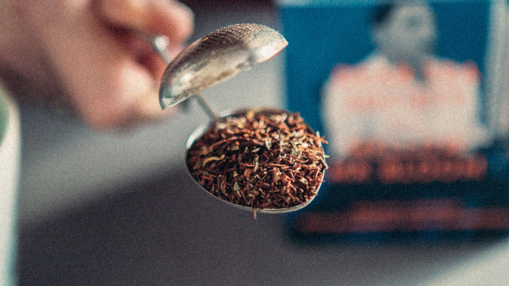 Rött te som inte är te – och hur du brygger rooibos rätt