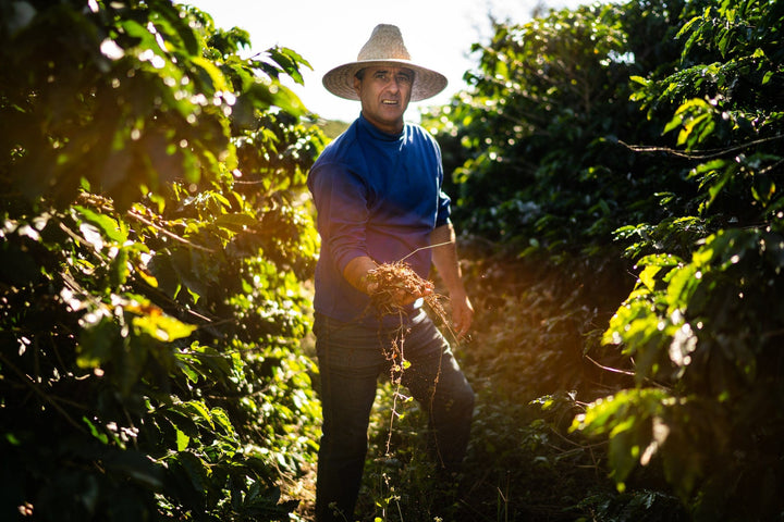 Projekt: FAF Future Farmers – Johan & Nyström