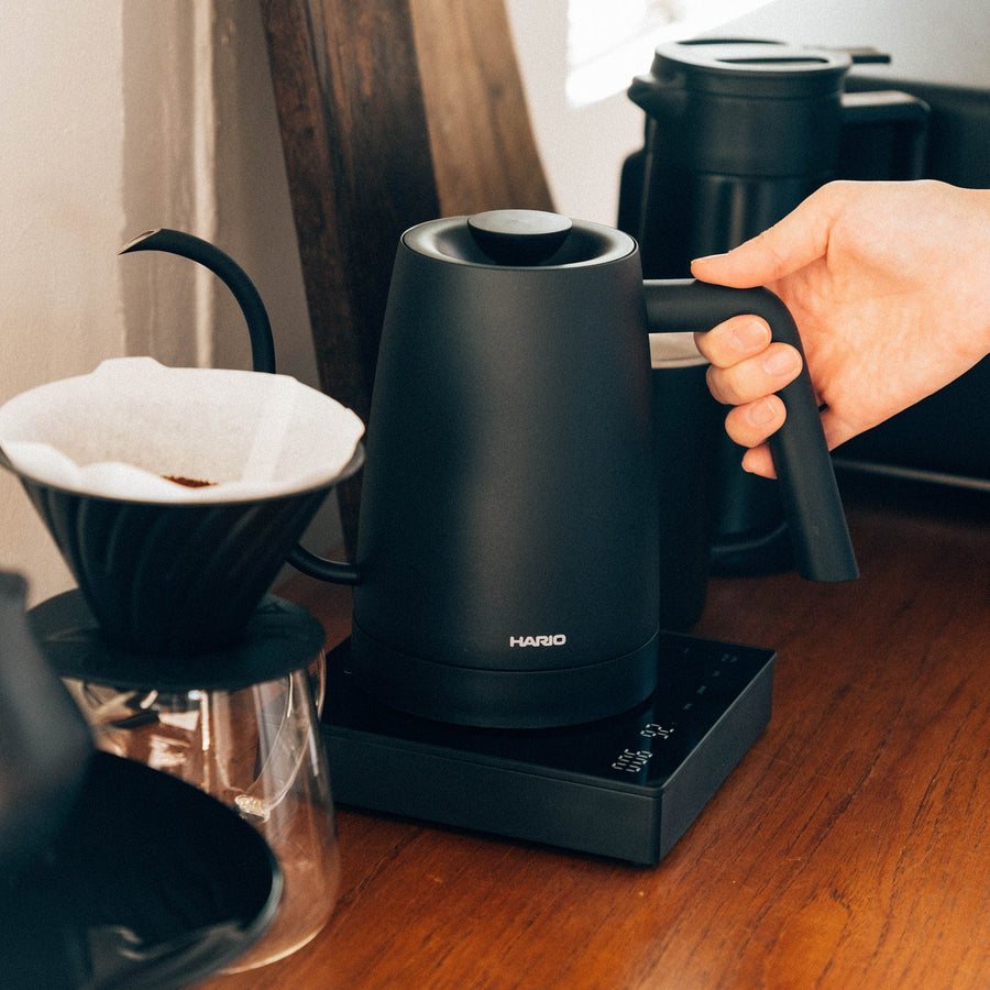 Electric Kettle Lyra