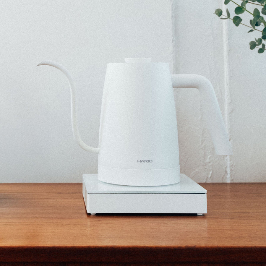 Electric Kettle Lyra