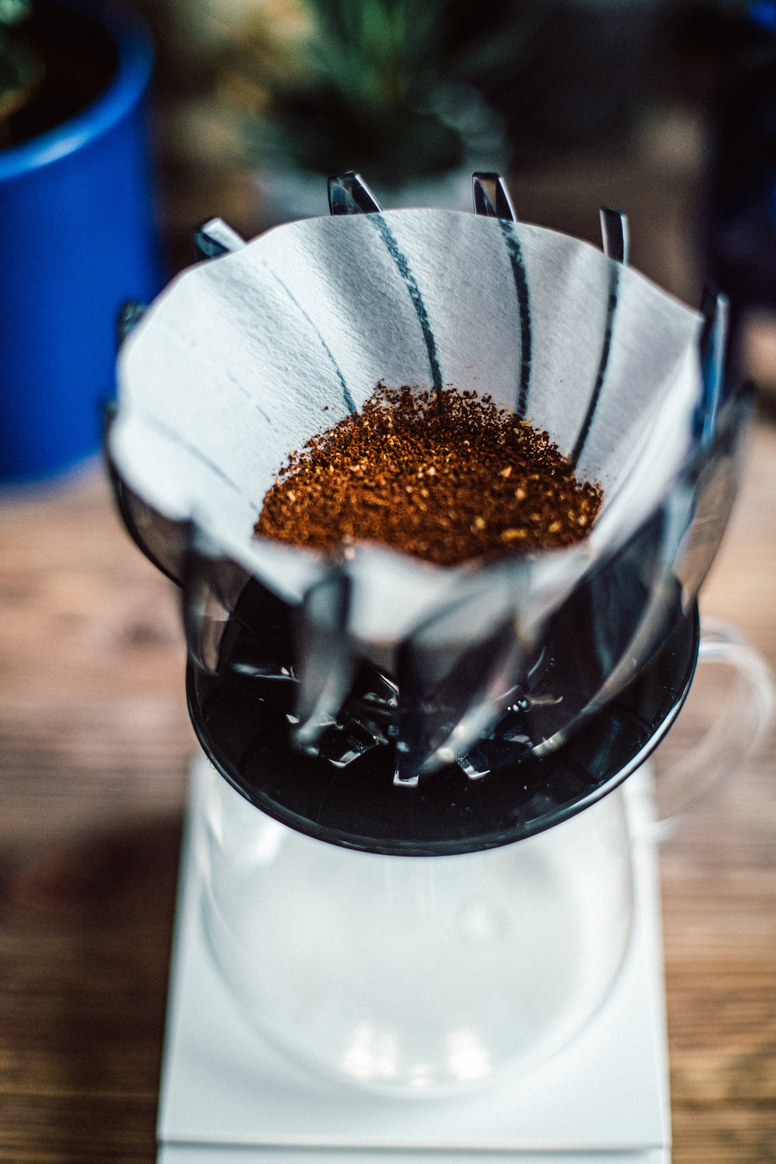 V60 Suiren Dripper