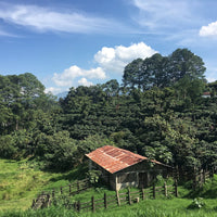 Wicho Valdés